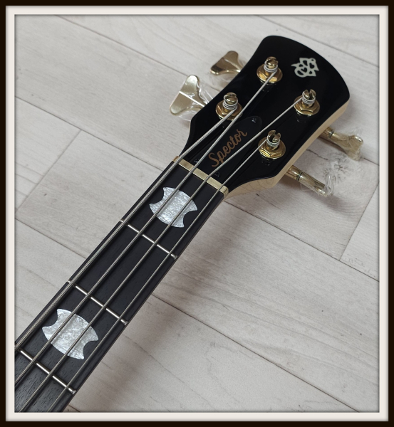Spector Icon NS-2 Bolt-On, Black Gloss